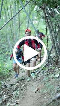 BIB:  <button type="button" onclick="openModal(28039654)" class="btn btn-primary btn-sm float-right" data-toggle="modal" data-target=".modal-high-quality">
                <i class="fa fa-download"></i> Download
                </button>